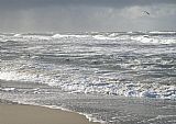 Unknown Artist Vesterhavet 4 painting